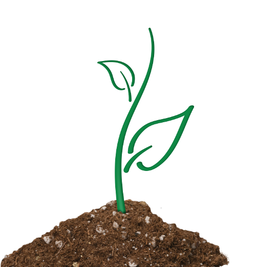 https://beautifullandproducts.com/wp-content/uploads/2019/11/blp-soil-graphic-5.png